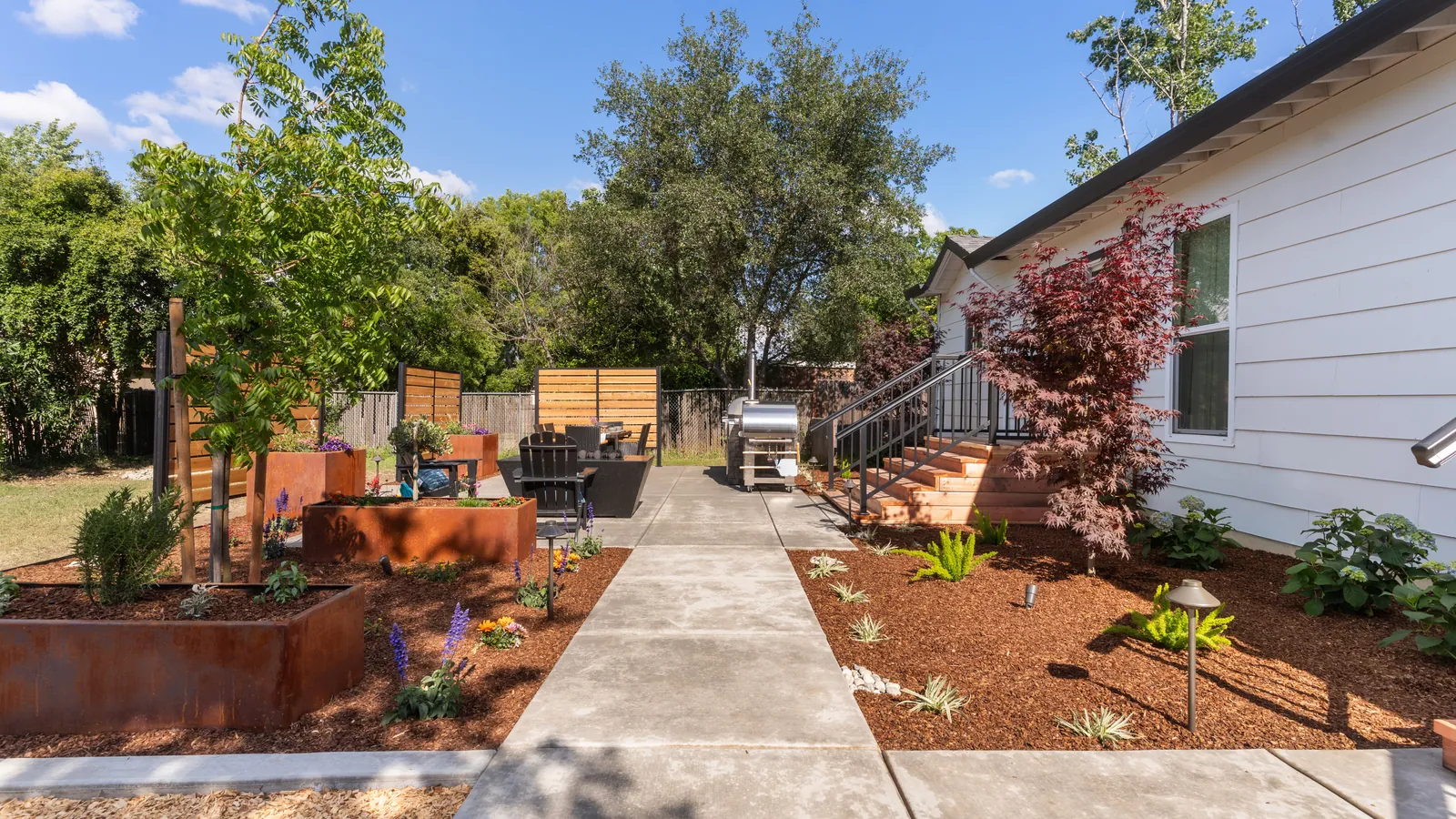 Concrete walkway past a Japanese maple and new plantings along the house